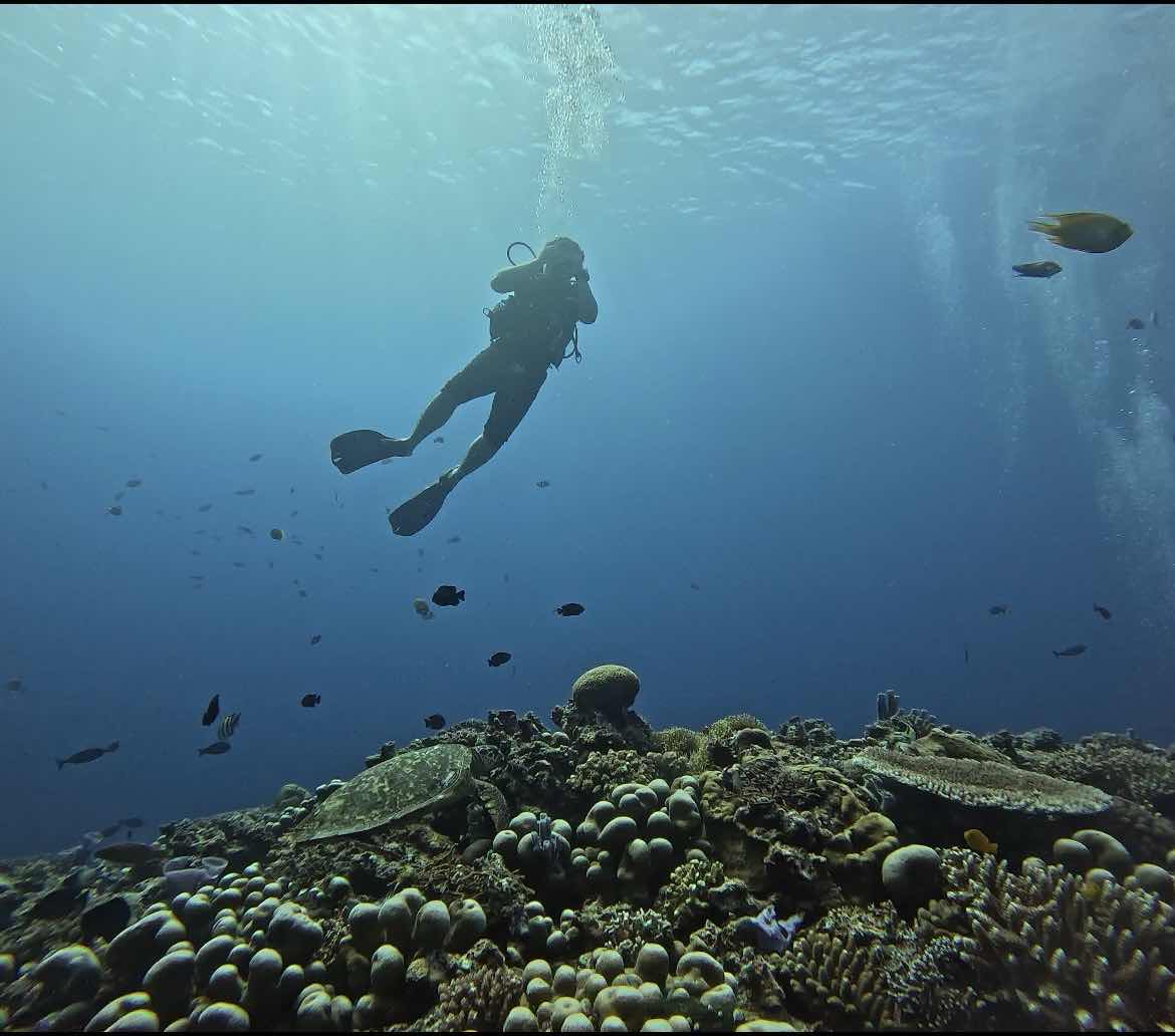 Meno Wall dive photo