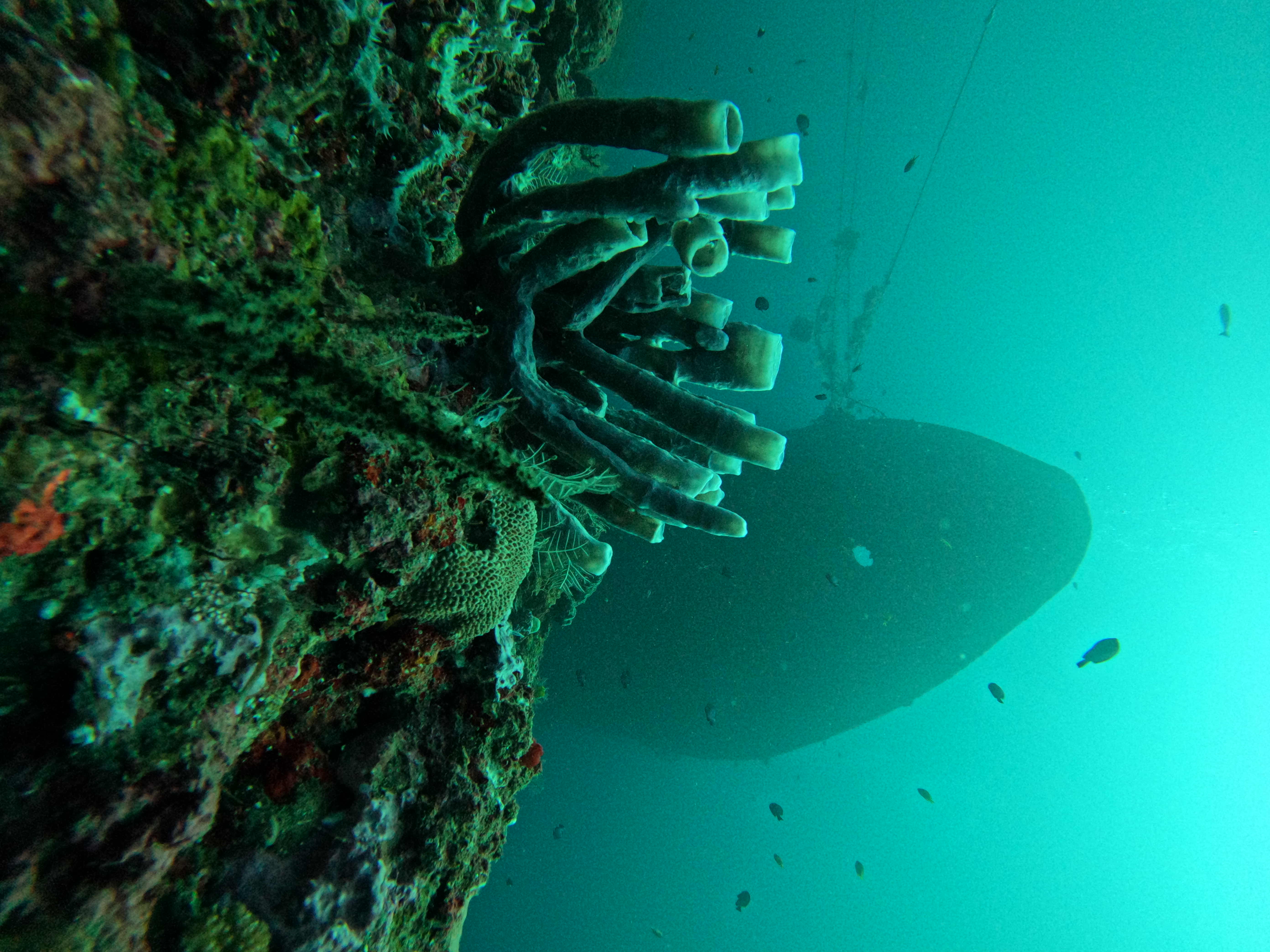 Boga Wreck dive photo