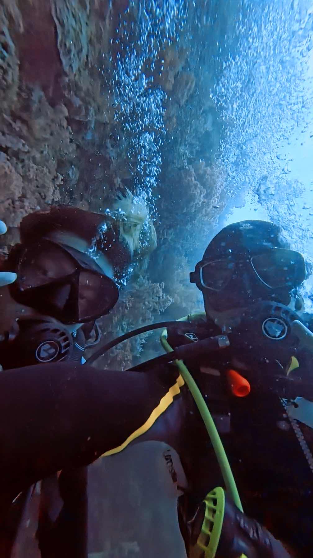 Gato Island dive photo
