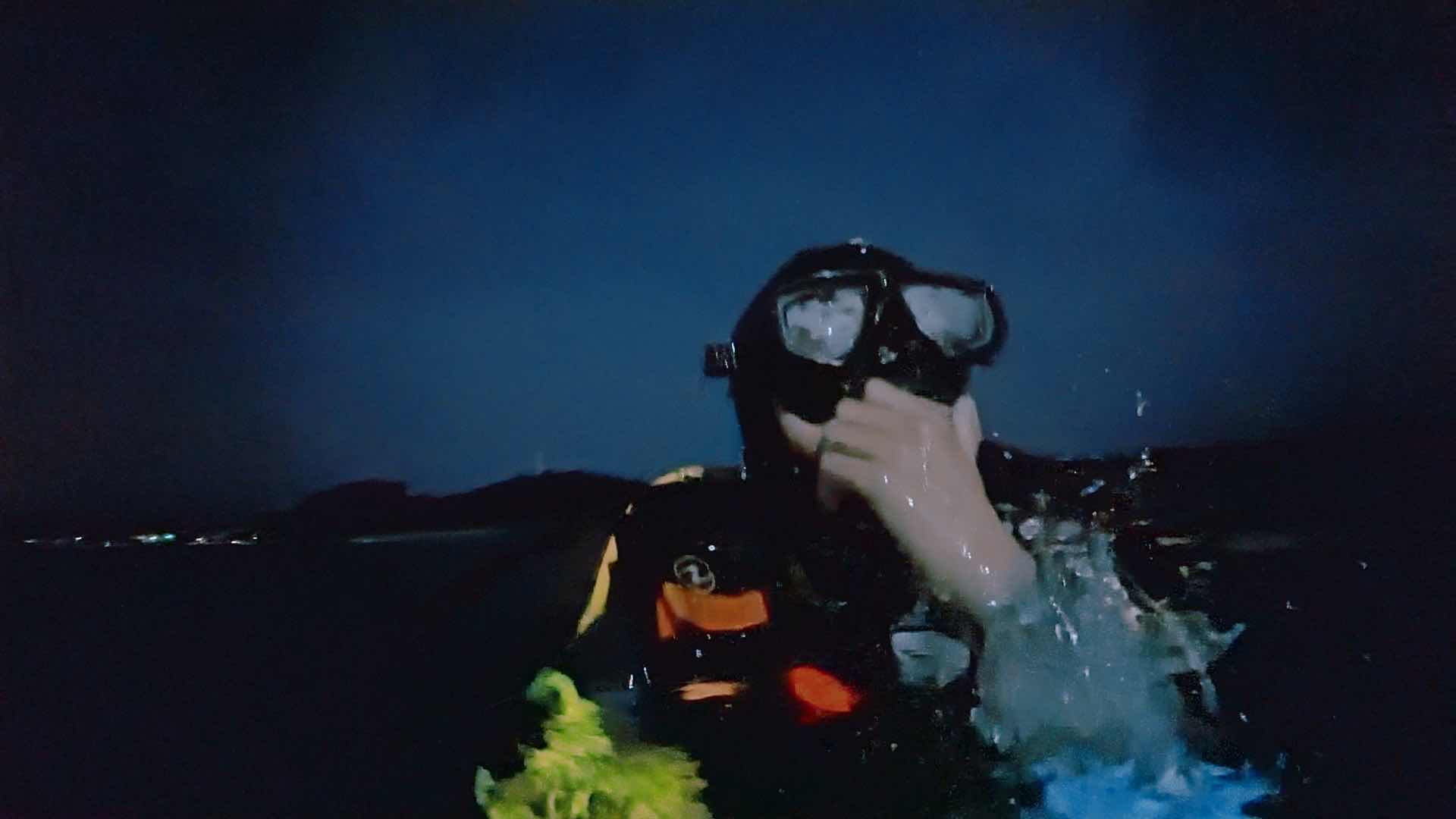 Lighthouse Reef dive photo