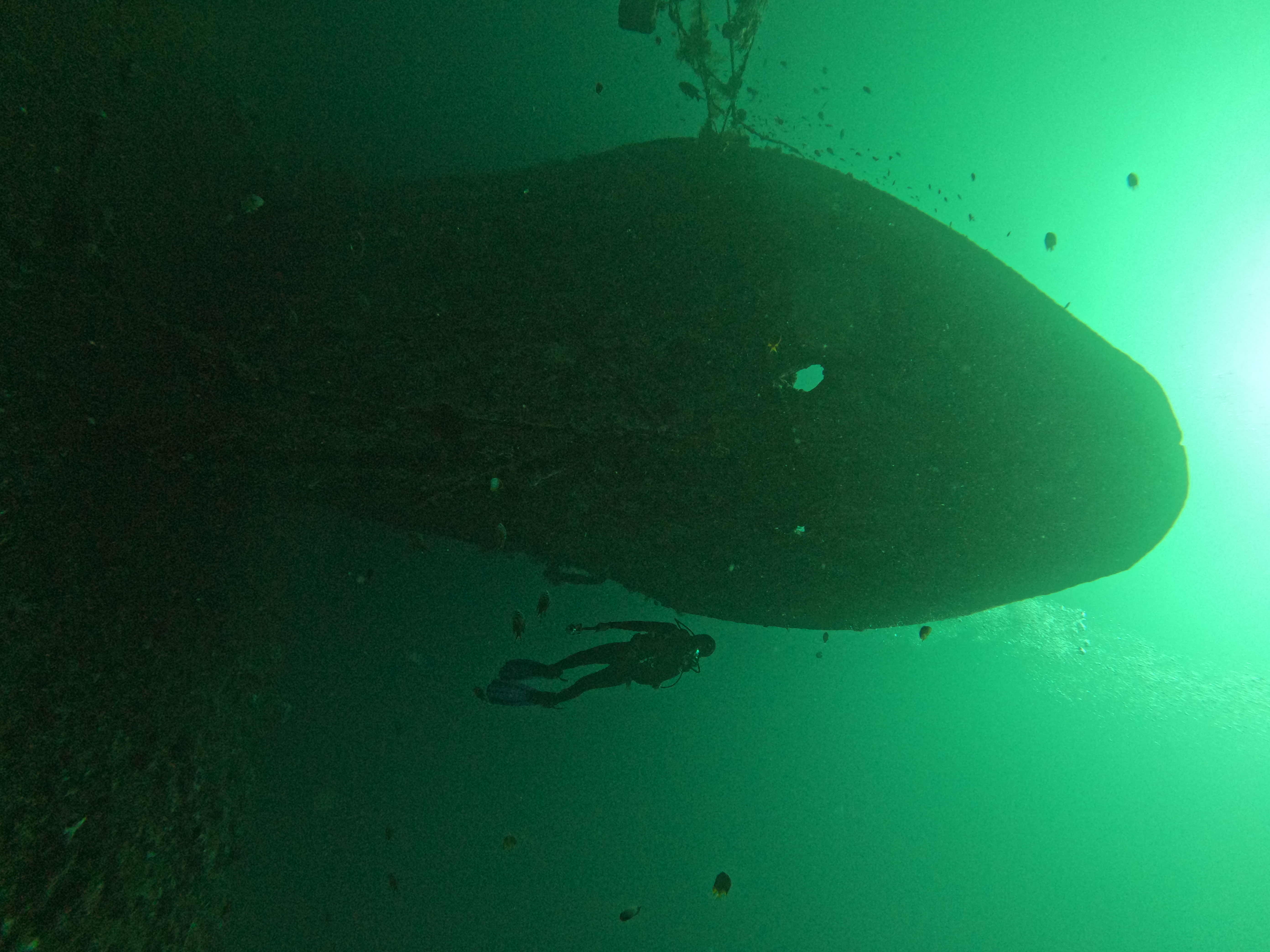 Boga Wreck dive photo